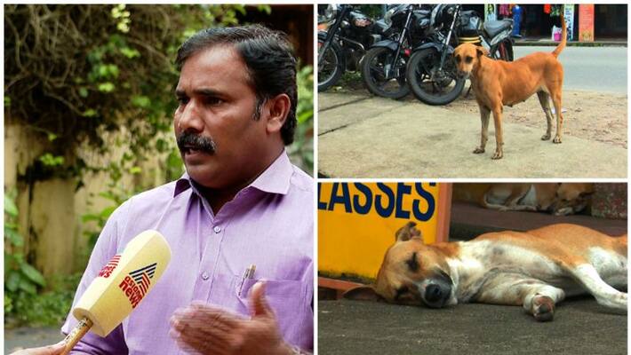 Palakkad Municipal Corporation with private kennels scheme to control stray dogs Palakkad Municipal Corporation with private kennels scheme to control stray dogs