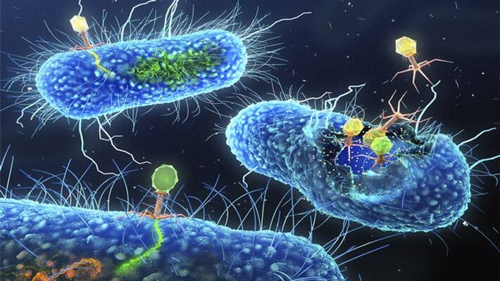 superbug disease is more deadly than corona taking thousand of live NTP superbug disease is more deadly than corona taking thousand of live NTP