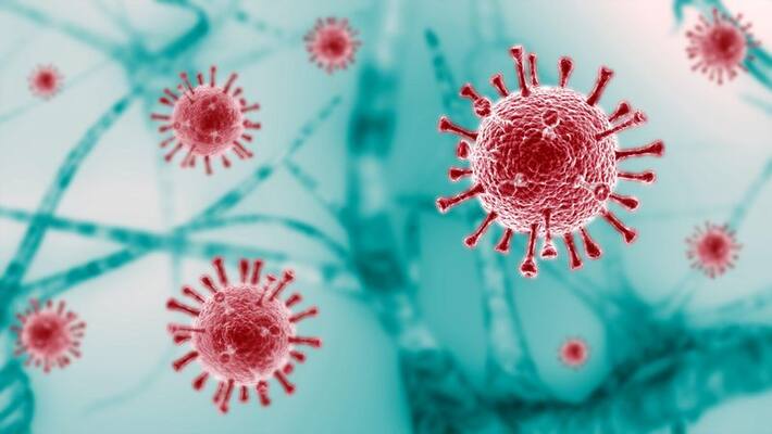 excess weight is linked to a higher risk of covid 19 infection study excess weight is linked to a higher risk of covid 19 infection study