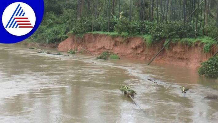 Farmer Faces Problems Due to Japavati River Flood in Chikkamagaluru grg Farmer Faces Problems Due to Japavati River Flood in Chikkamagaluru grg