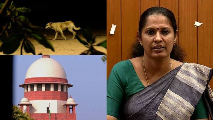 Stray dog attack, Kannur District Panchayat to join Supreme court case Stray dog attack, Kannur District Panchayat to join Supreme court case