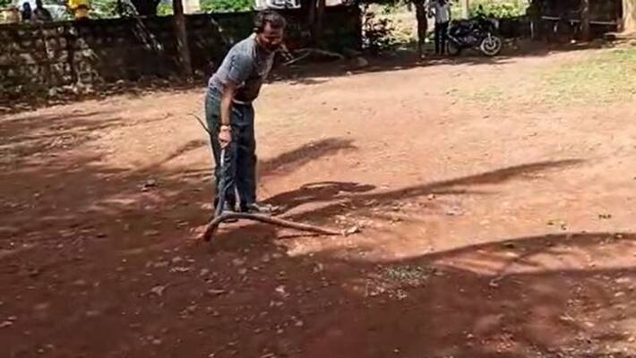 man under the influence of alcohol was bitten by snake four times yet he survives in Belgaum man under the influence of alcohol was bitten by snake four times yet he survives in Belgaum