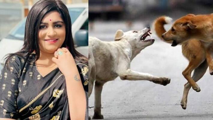 vlogger lakshmi menon talks about stray dog issue in kerala vlogger lakshmi menon talks about stray dog issue in kerala