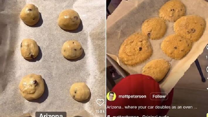 man bakes cookies inside car under sun heat man bakes cookies inside car under sun heat