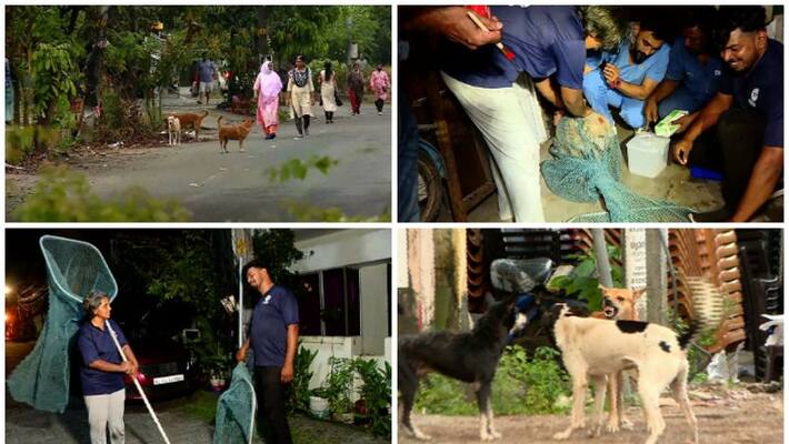 govt dont have exact number of stray dogs govt dont have exact number of stray dogs