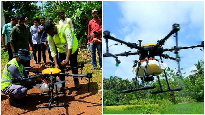 Drone to spray medicine in Kasaragod farms Drone to spray medicine in Kasaragod farms