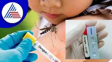Dengue cases on the rise among children: Here are things parents should keep in mind.. Dengue cases on the rise among children: Here are things parents should keep in mind..