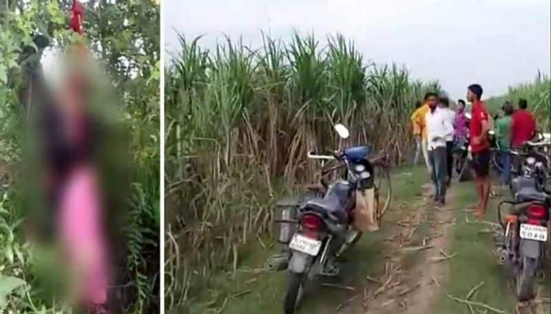 Dead body of two sisters found hanging from tree in Lakhimpur police arrested 6 accused akhilesh yadav mayawati priyanka gandhi tweet 
