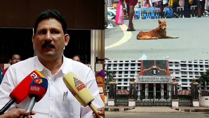 Kollam District Panchayat approaches High court seeking permission to kill violent stray dogs Kollam District Panchayat approaches High court seeking permission to kill violent stray dogs