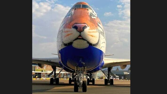 Cheetah returns to India: The 'special bird' that will fly from Windhoek to Jaipur Cheetah returns to India: The 'special bird' that will fly from Windhoek to Jaipur