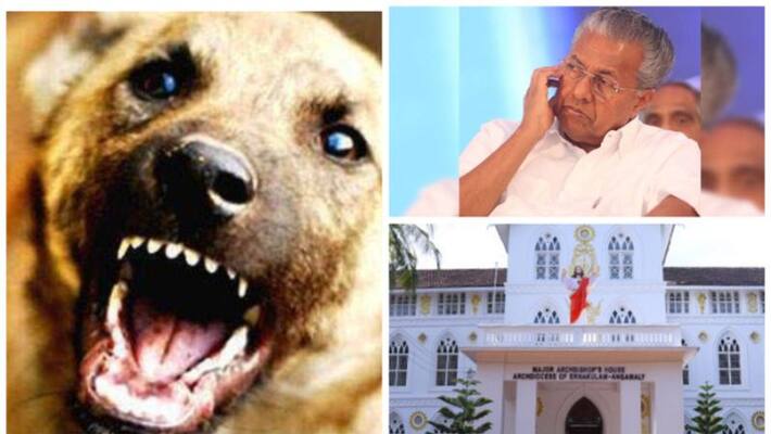 Kollam : Stray dogs harassing the people of Kerala; Worried about the series of attacks Kollam : Stray dogs harassing the people of Kerala; Worried about the series of attacks