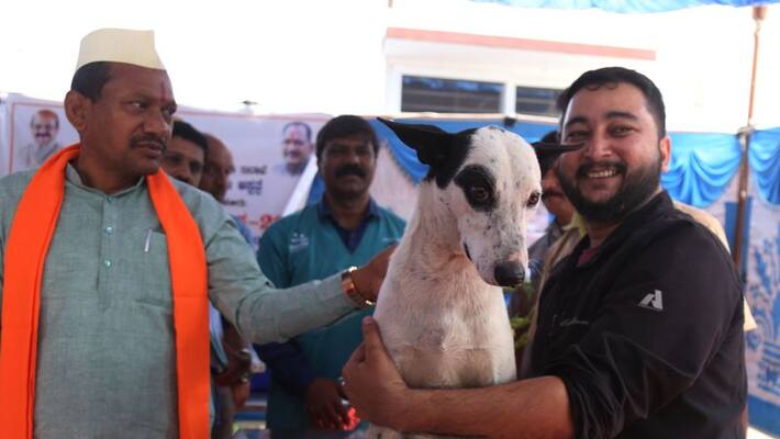 Free Rabies Vaccination Campaign says Minister Chavan rav Free Rabies Vaccination Campaign says Minister Chavan rav