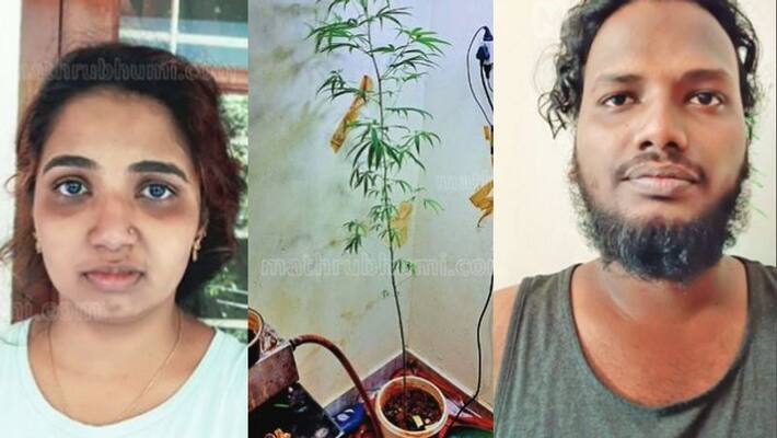 Man and women arrested for plant cannabis in flat at kochi kakkanad Man and women arrested for plant cannabis in flat at kochi kakkanad