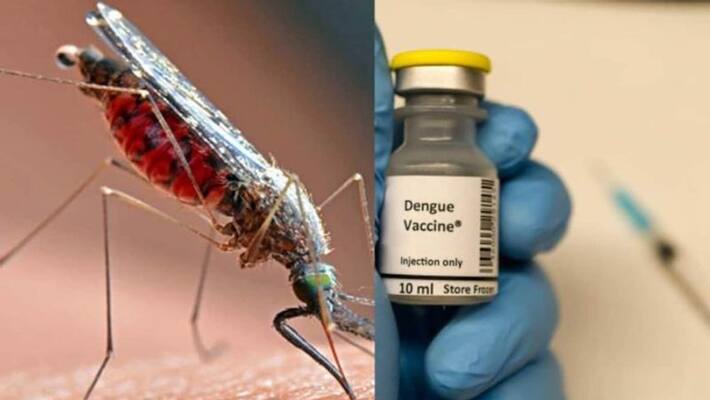 Indias first dengue vaccine gets approval for clinical trial Indias first dengue vaccine gets approval for clinical trial