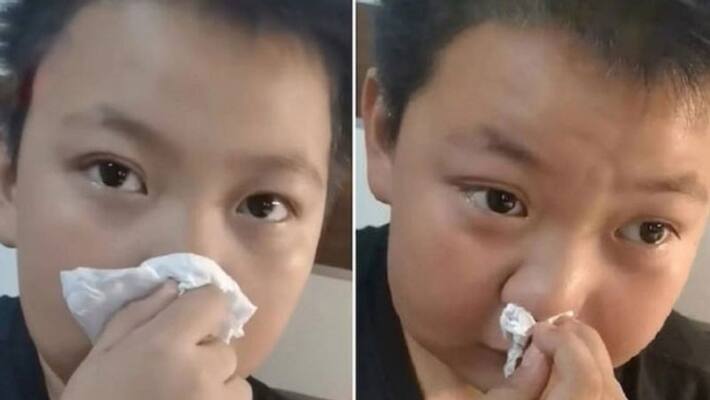 boys homework excuse of book smell allergy boys homework excuse of book smell allergy