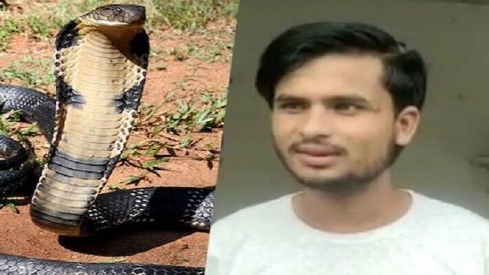 Not one two three but five times snake bitten Agra old enmity being removed from youth Not one two three but five times snake bitten Agra old enmity being removed from youth