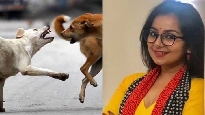 actress Mrudula murali talk about stray dog attack in kerala actress Mrudula murali talk about stray dog attack in kerala