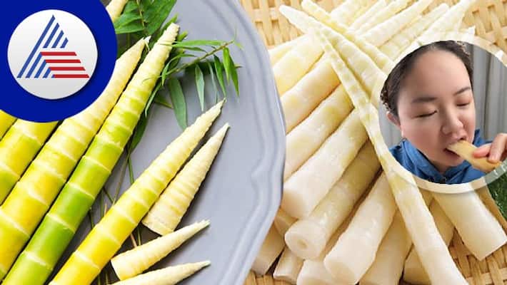 Significance of Bamboo day its benefits of health Significance of Bamboo day its benefits of health