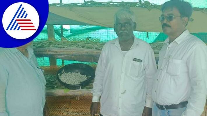 Yadagiri Sericulture farmers losses gow Yadagiri Sericulture farmers losses gow