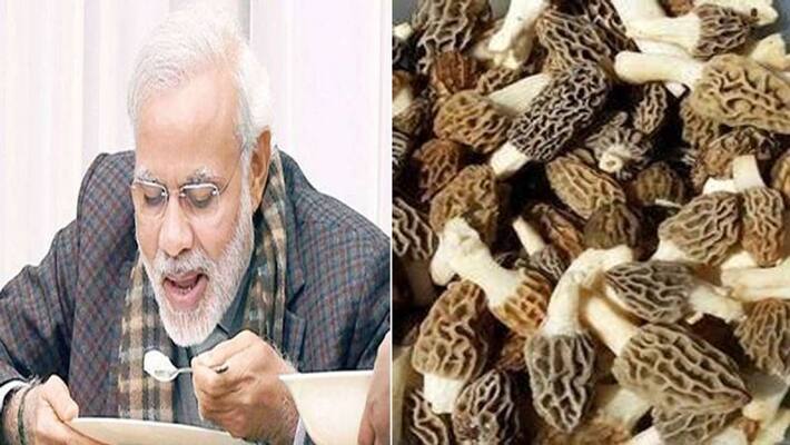 PM Narendra Modi birthday: which mushroom modi ji eats, know his diet plan dva PM Narendra Modi birthday: which mushroom modi ji eats, know his diet plan dva