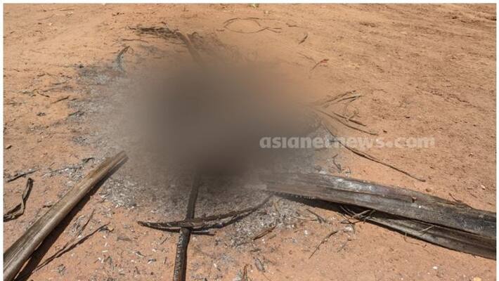 Found stay dog burned in kollam Found stay dog burned in kollam
