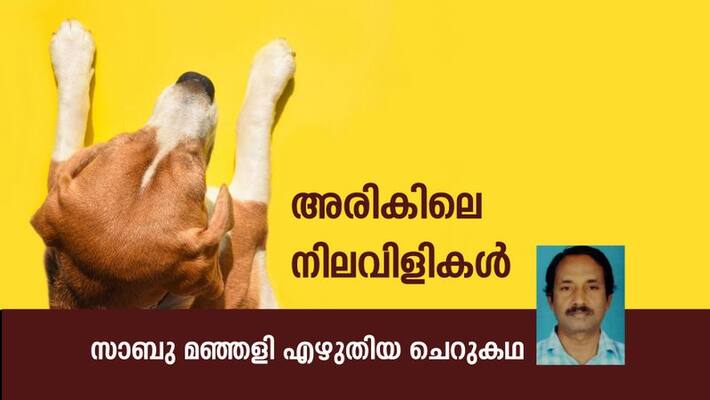 chilla malayalam short story by Sabu Manjali chilla malayalam short story by Sabu Manjali