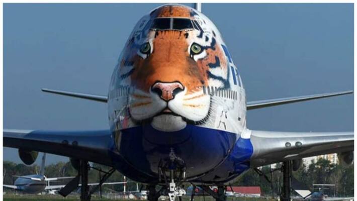 story about the boeing 747 400 plane that delivered the cheetahs to india story about the boeing 747 400 plane that delivered the cheetahs to india
