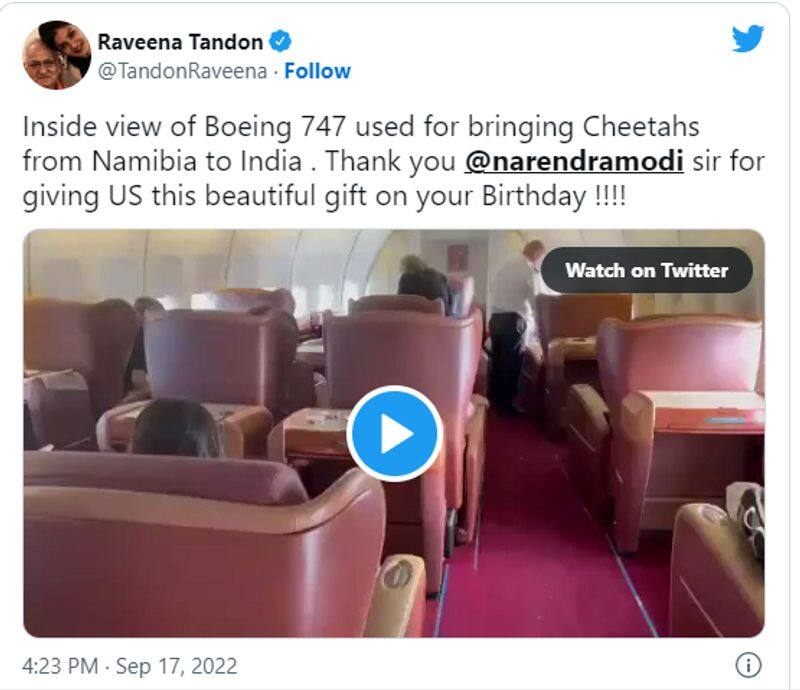 story about the boeing 747 400 plane that delivered the cheetahs to india