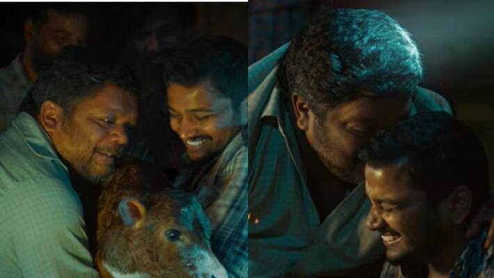 Basil Joseph movies Palthu Janwar Lyrics Video Basil Joseph movies Palthu Janwar Lyrics Video