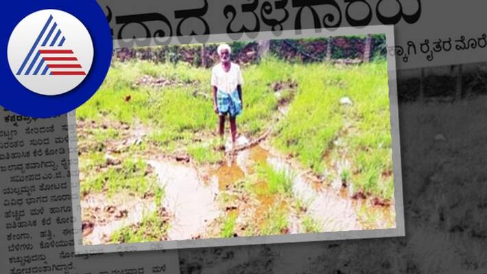 heavy rain Crop crop destroyed Farmers problems in haveri rav heavy rain Crop crop destroyed Farmers problems in haveri rav
