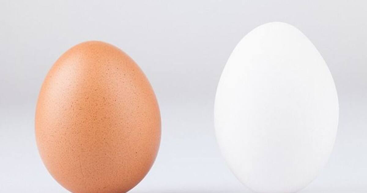 White egg or brown egg? What is the difference? Which one is better