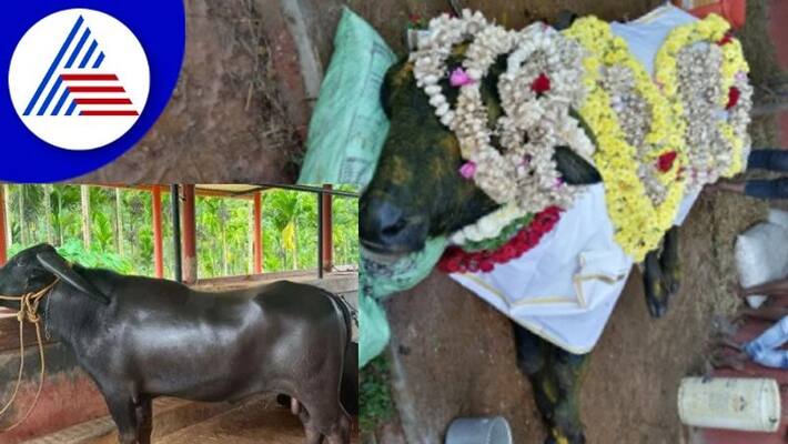 Tennaru mode kona death People flocked to the funera udupi rav Tennaru mode kona death People flocked to the funera udupi rav