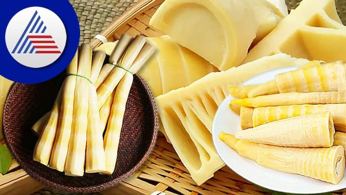 Why Bamboo Shoots Are A Blessing For Diabetes Patients Vin Why Bamboo Shoots Are A Blessing For Diabetes Patients Vin