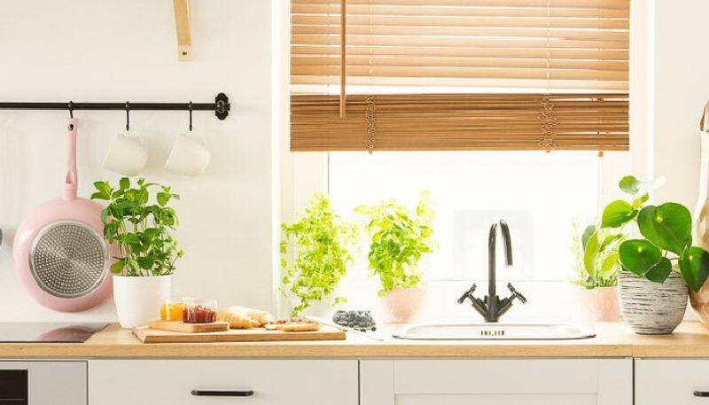 things to keep your kitchen clean and beautiful 