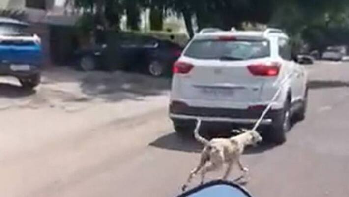 Doctor drag a dog in car in Jodhpur Doctor drag a dog in car in Jodhpur
