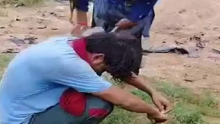 Jalaun young man molested while intoxicated angry girl gave such punishment with both hands video went viral Jalaun young man molested while intoxicated angry girl gave such punishment with both hands video went viral