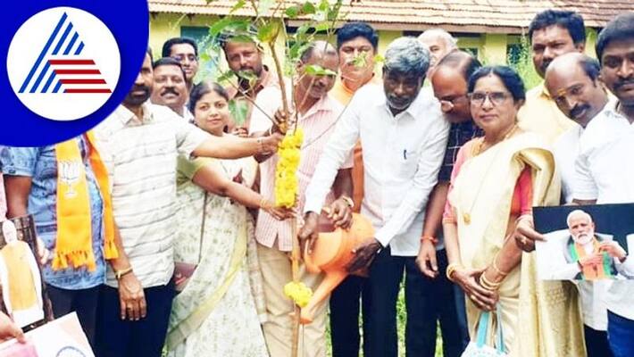 peepul tree are very helpful in preventing air pollution rav says poojari peepul tree are very helpful in preventing air pollution rav says poojari