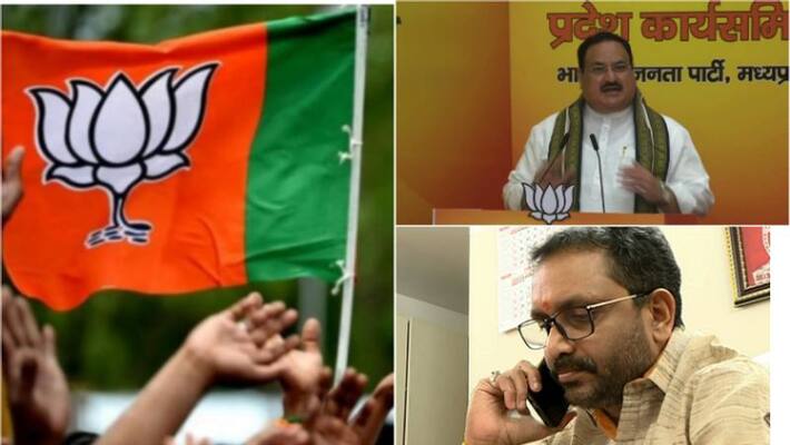 JP Nadda will go to Kerala to check the problems in BJP, will there be a change in leadership? JP Nadda will go to Kerala to check the problems in BJP, will there be a change in leadership?