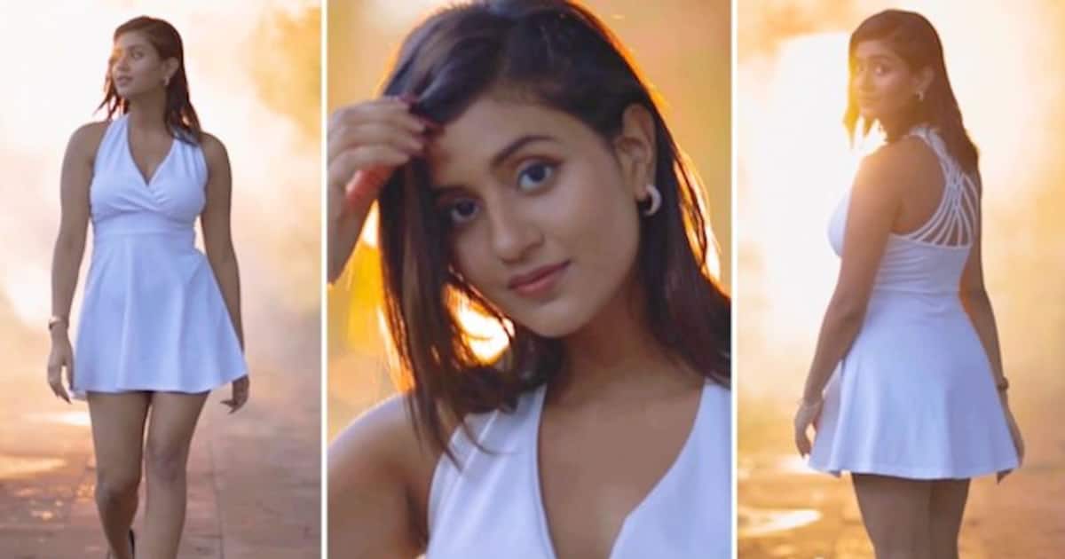 Anjili Telugu Video Sex - After Anjali Arora's MMS controversy, actress trolled for THIS reason