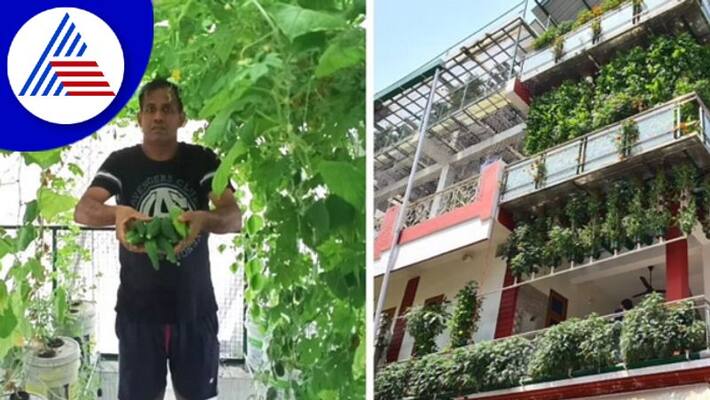 This Man Covered His 3 Storey House In Uttar Pradesh With 10,000 Plants Vin This Man Covered His 3 Storey House In Uttar Pradesh With 10,000 Plants Vin