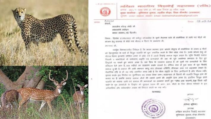 bikaner news All India Bishnoi Mahasabha letter to PM narendra modi for providing protection to chital and deer to be served as cheetah food asc bikaner news All India Bishnoi Mahasabha letter to PM narendra modi for providing protection to chital and deer to be served as cheetah food asc