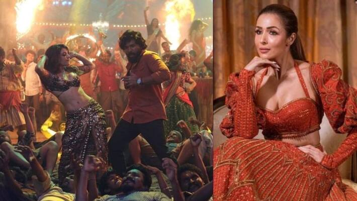 Malaika Arora dance with allu arjun in pushpa 2 Malaika Arora dance with allu arjun in pushpa 2