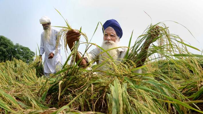 Monsoon season and heavy rain alert in India kpa Monsoon season and heavy rain alert in India kpa