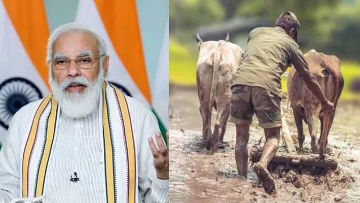 Farmer commit suicide after wishes pm modi and Seeks Guarantee On Crop Prices Farmer commit suicide after wishes pm modi and Seeks Guarantee On Crop Prices
