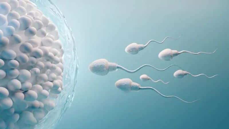 Men Health 101: What is male infertility? Know causes and risk elements RBA