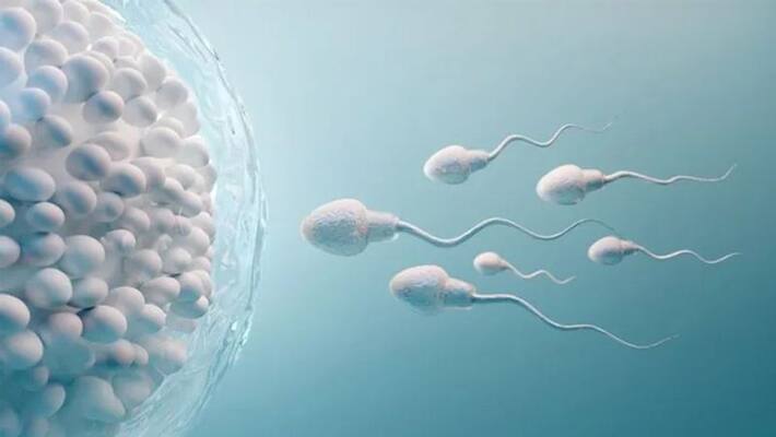 Health care tips: how to increase sperm count in men dva Health care tips: how to increase sperm count in men dva