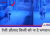 rajasthan news Son beat up 70 year old his father in Jodhpur see shocking video KPZ