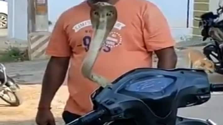 video going viral on social media where man catching a cobra snake on a scooty apa video going viral on social media where man catching a cobra snake on a scooty apa