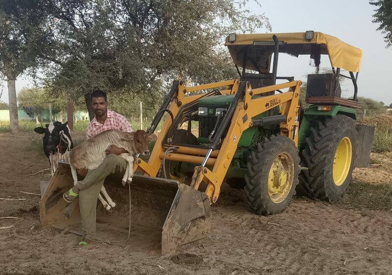 sikar news engineer did funeral of cows died of lumpy virus people praising him asc