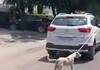 doctor booked for allegedly tying a stray dog to his car and dragging it along the road akb